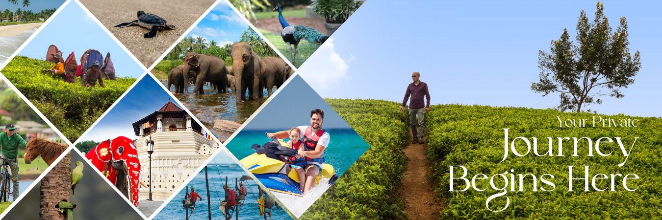 Hotels and Villas Special Offers in Sri Lanka