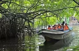Experience Boat Safari in Madu River Sri Lanka.