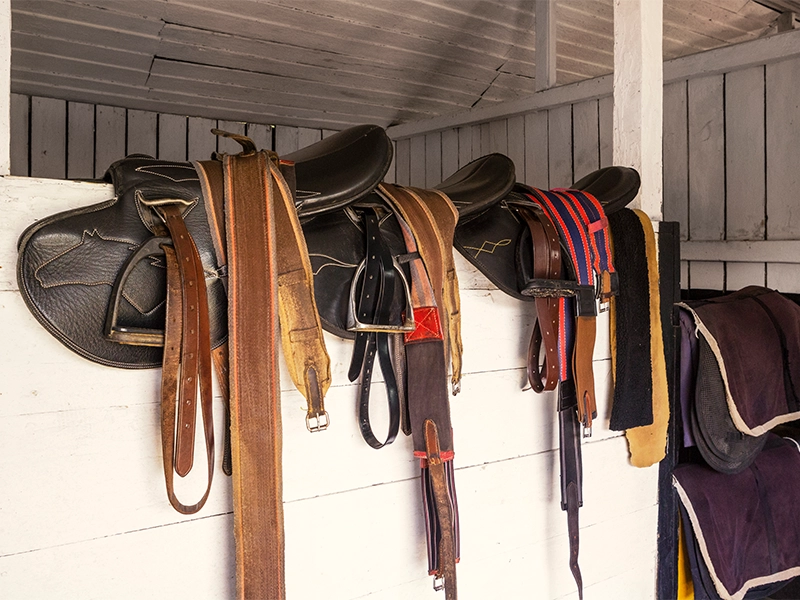 stable-experience-in-nuwara-eliya-sri-lanka-2