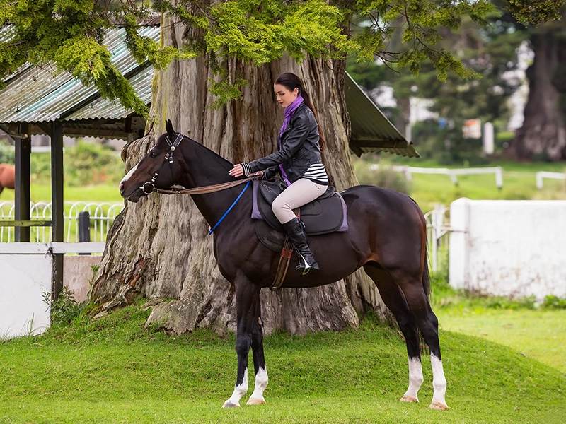 stable-experience-in-nuwara-eliya-sri-lanka-4