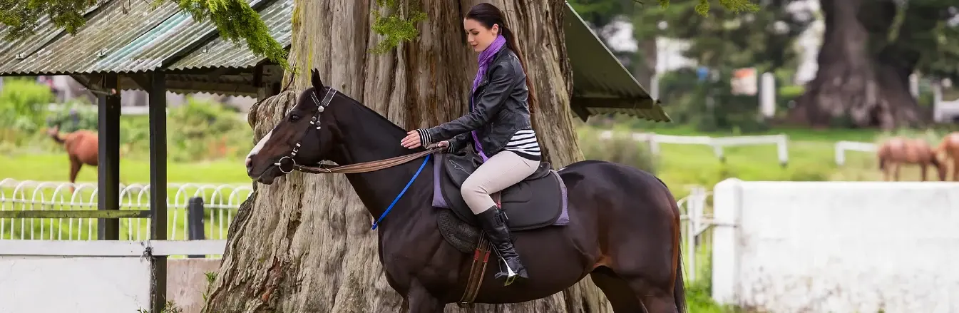 Villa Mayurana,Cinnamon Experience