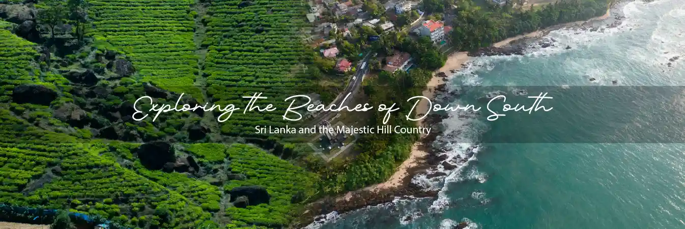 Exploring the Beaches of Down South Sri Lanka and the Majestic Hill Country