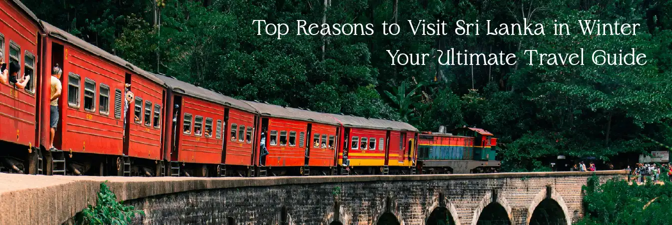 Top Reasons to Visit Sri Lanka in Winter