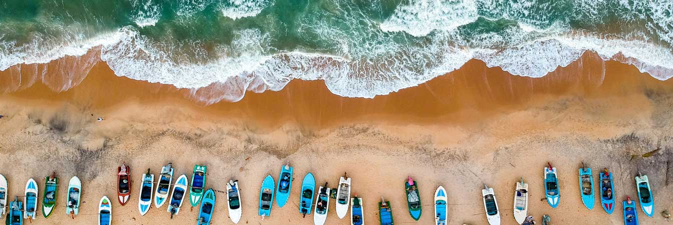 When is the Best Time to Visit Sri Lanka? A Guide to Seasons and Weather