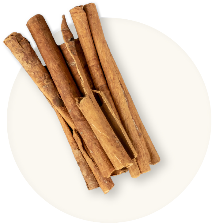Cinnamon Experience in Villa Mayurana Ahangama, Sri Lanka.